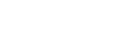 Chauffeur privé Lyon 8